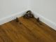 Bannisdale Engineered Golden Oak Oiled and Distressed 220mm x 15/4mm Wood Flooring