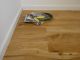 Hindwell Engineered Natural Oak Brushed and Lacquered 180mm x 18/5mm Wood Flooring