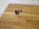 Freckleton Engineered Natural Oak Brushed and Lacquered**Prime** 125mm x 14/3mm Wood Flooring